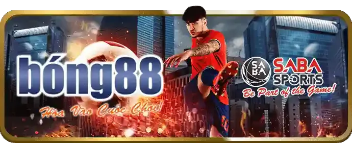 Tầm Nhìn SHBET.800