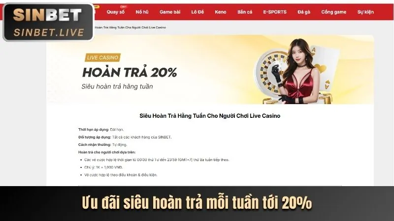 Chương trình VIP SHBET.800